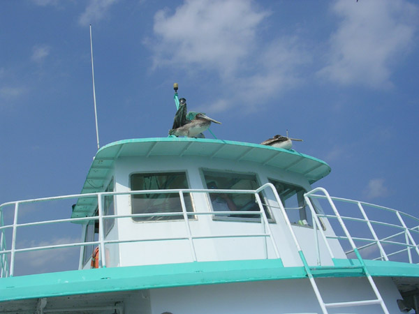 DSCN2213