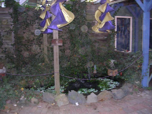 DSCN0305
