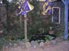 DSCN0305